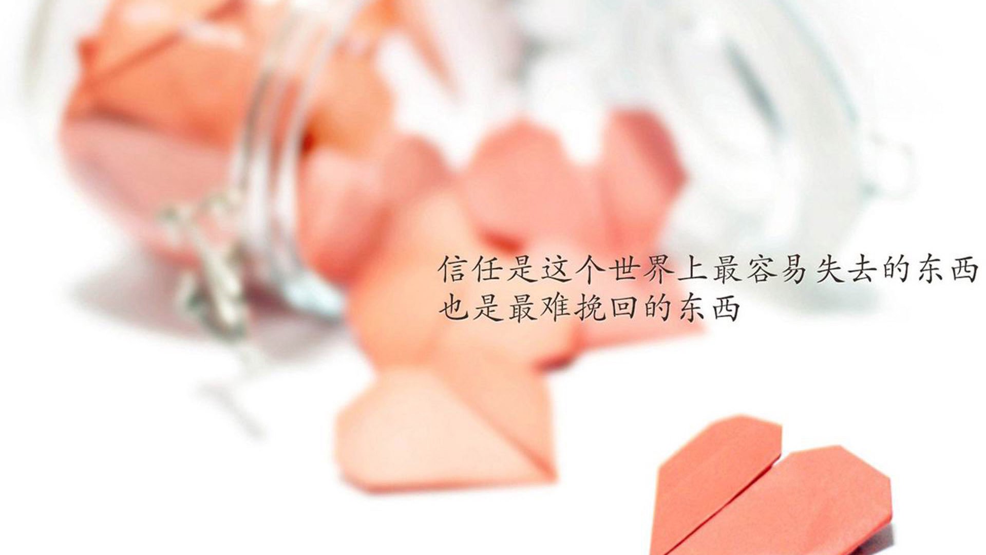 世界乒坛明星教练国际巡讲总结与资料发布,世界乒乓球教练